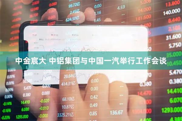 中金宸大 中铝集团与中国一汽举行工作会谈