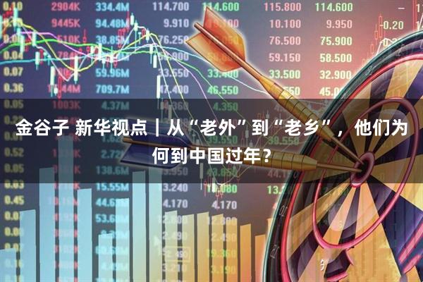 金谷子 新华视点｜从“老外”到“老乡”，他们为何到中国过年？