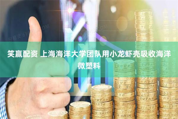 笑赢配资 上海海洋大学团队用小龙虾壳吸收海洋微塑料